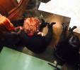 Shadowhunters Tournage S3 